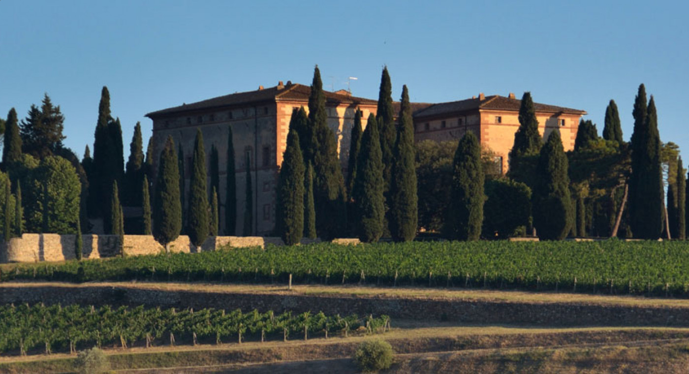 A Look At The Wine Cellar - Argiano